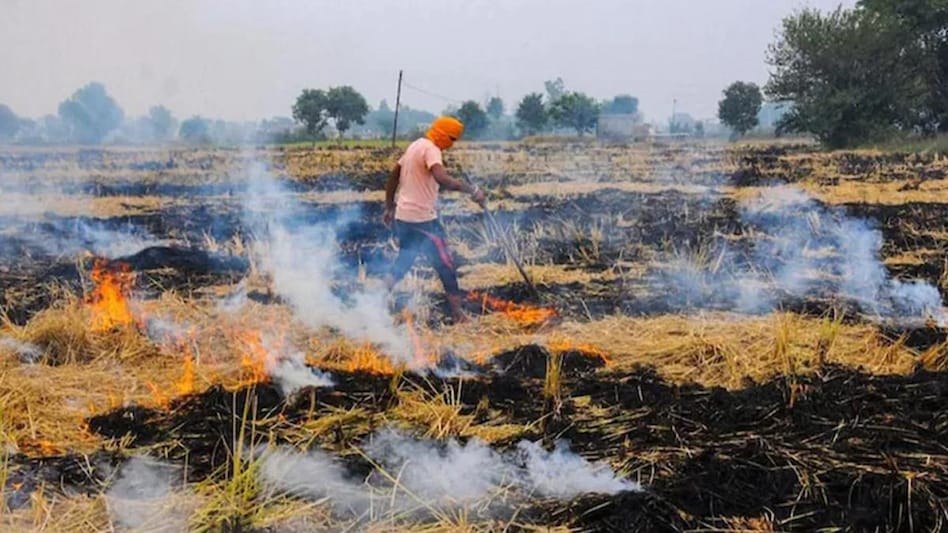 पराली पर कोहराम : किसान नहीं सरकार की नीतियां जिम्मेदार है